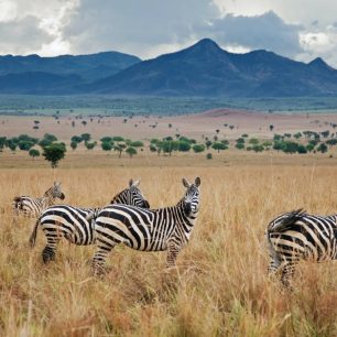 Kidepo Valley National Park – Uganda’s Hidden Wilderness
